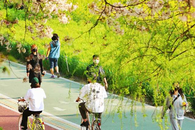 当第三者纠缠不清时，理智与情感的较量